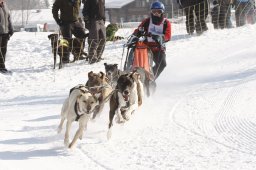 Lenk 2012 SM